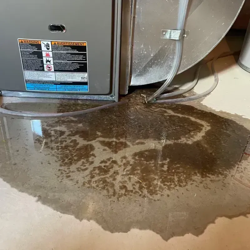 Appliance Leak Cleanup in Newton, IL